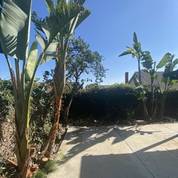 All Seasons Tree Service