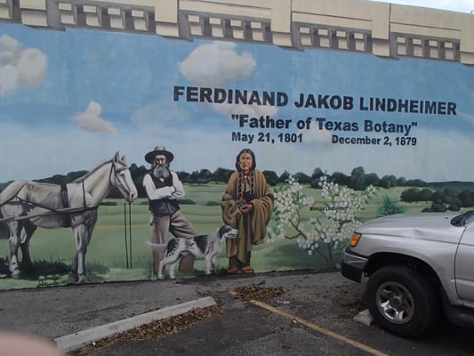 Naegelin's German Bakery by null