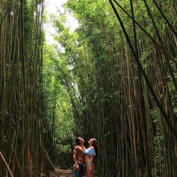 Epic Maui Hikes - immersed in nature, jungle waterfall adventure - Tours Near Me - kihei, Hawaii Epic Maui Hikes - immersed in nature, jungle waterfall adventure - Tours Near Me - kihei, Hawaii