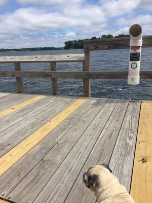 Lake Minnetonka by null