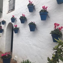 Hotel  Nobu - Blue wall pottery containing pink flowers beautifully offsets the stark white walls...