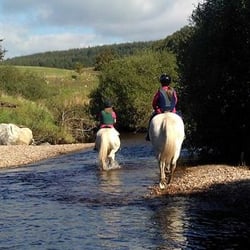 Hollywood Horse and Pony Trekking - Horse riding in the river