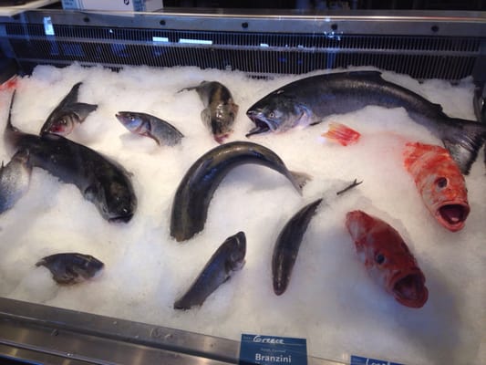 Hapuku Fish Shop by null