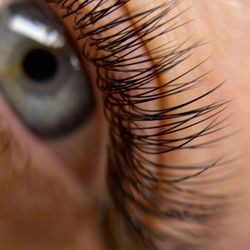 Katerinas Lashes