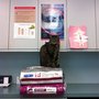 Photo of Calgary Holistic Veterinary Clinic