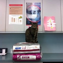 Calgary Holistic Veterinary Clinic - King of the food!!