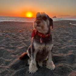 Sonoma Coast State Beach - All we need.