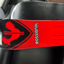 The Ski Company