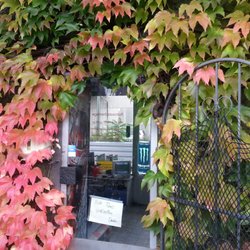 Tankstelle Walther - Eingang hinten