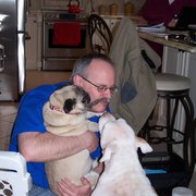 Creature Comforts Veterinary Service 12 Photos 36 Reviews