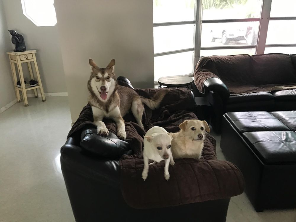 Tequesta Veterinary Clinic Image