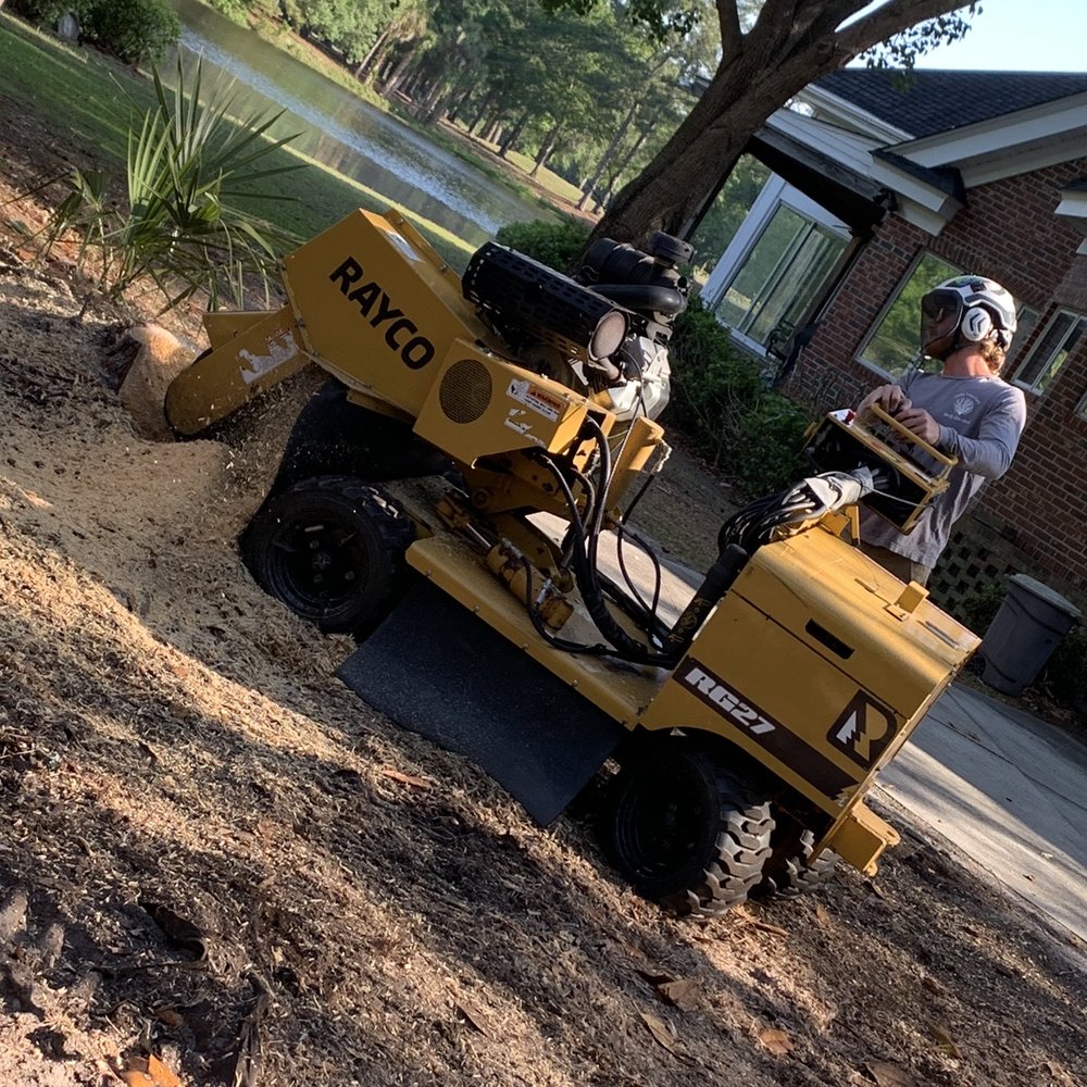Delta Tree Care - Stump grinding - Tree Services Near Me - Pawleys Island, South Carolina