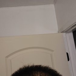 Supercuts - Patch of uncut hair. Thanks.