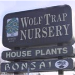 Wolf Trap Nursery