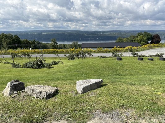 Finger Lakes Distilling by null