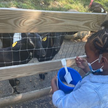 Abma's Farm - Feeding the goats - Farmers Market Near Me - Wyckoff, New Jersey