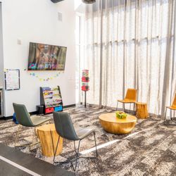 Kids Mile High Pediatric Dentistry - Thornton