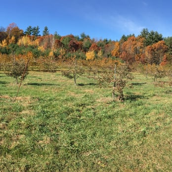 Carver Hill Orchards - Fruits & Veggies Near Me - Stow, Massachusetts