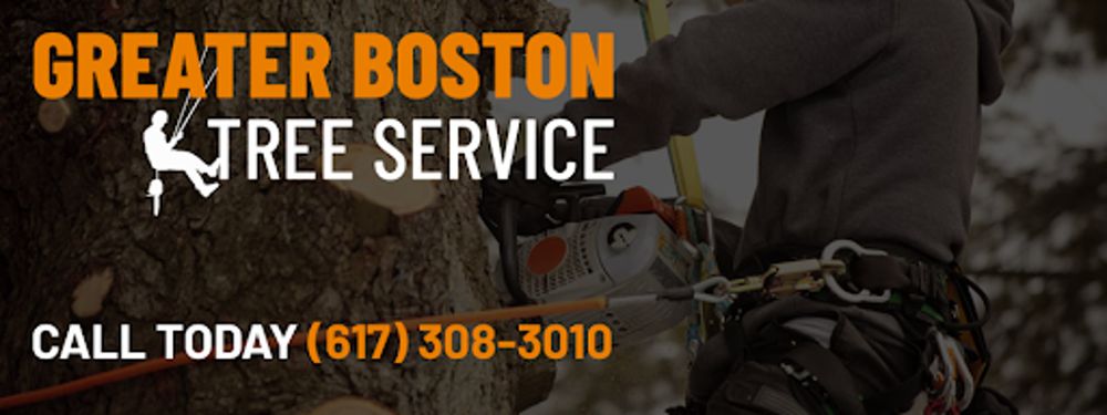 Greater Boston Tree Service - tree service in Tyngsborough, MA
