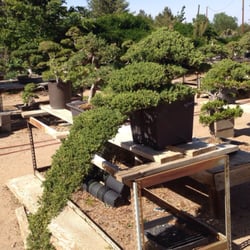 Kims Bonsai Nursery