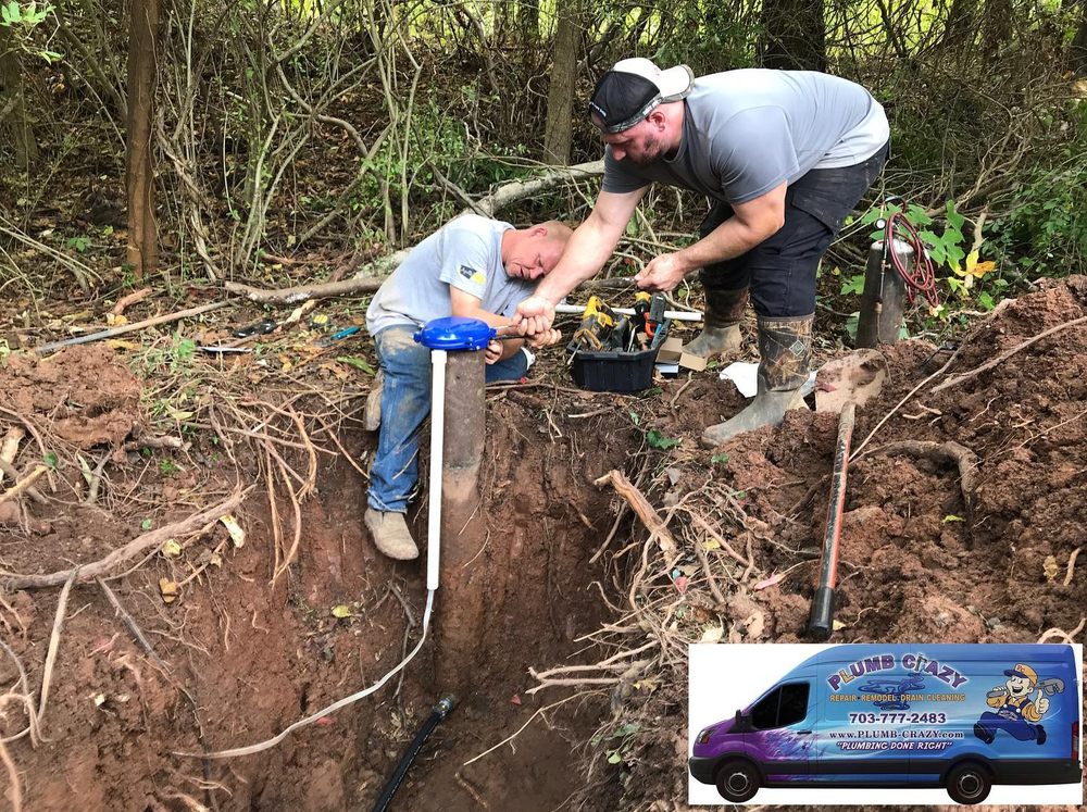 Slide of Plumb Crazy