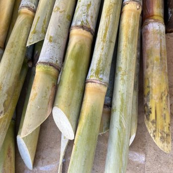 Lotus Pond - Sugarcane:3 - Public Markets Near Me - Sanger, California Lotus Pond - Sugarcane:3 - Public Markets Near Me - Sanger, California