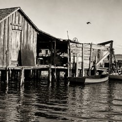 Florida Gulf Discovery - Before tourism, these waters were home to hardworking fishing communities that shaped Southwest Florida. https://floridagulfdiscovery.co