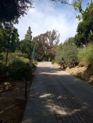 Fox Hills Park by null