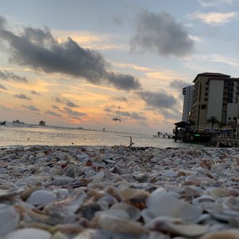 Shephard's Tiki Beach Bar - a sunset over the ocean - American Near Me - Clearwater, Florida Shephard's Tiki Beach Bar - a sunset over the ocean - American Near Me - Clearwater, Florida