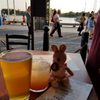 Hanks Oyster Bar gift card