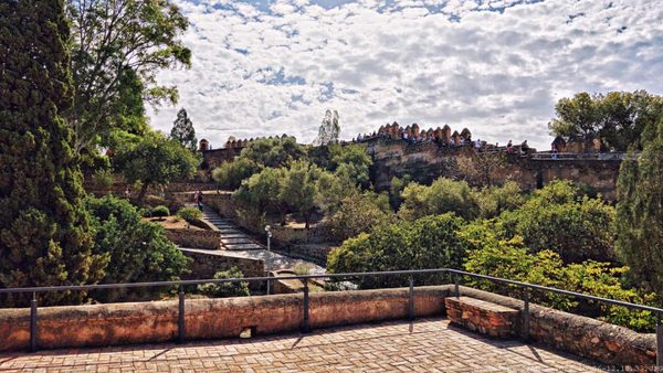 Castillo de Gibralfaro by null