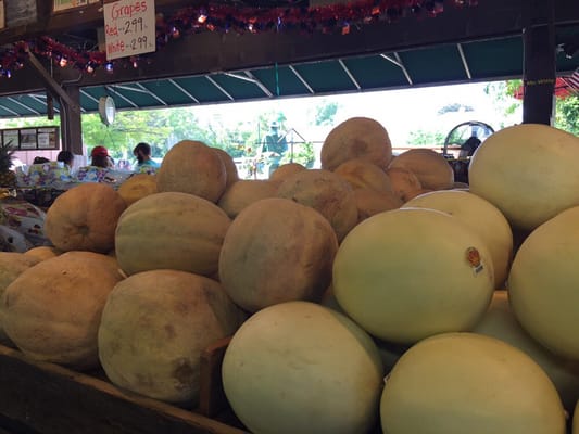 Farmers market in Kirkwood by null