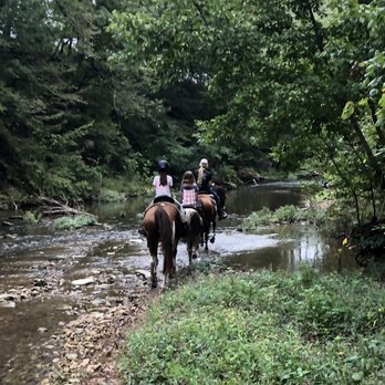 Natchez Trace Stables - Horseback Riding Near Me - Primm Springs, Tennessee Natchez Trace Stables - Horseback Riding Near Me - Primm Springs, Tennessee