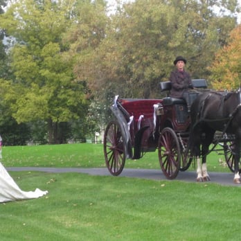 Hackney Horse and Carriage - Event Planning & Services Near Me Hackney Horse and Carriage - Event Planning & Services Near Me