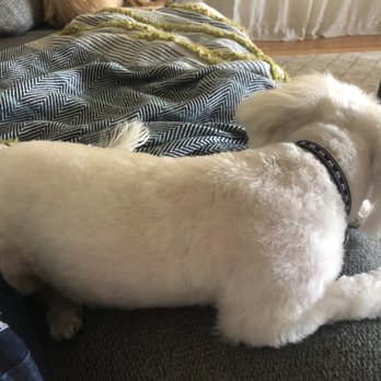 Pet Choice - After! - Pet Stores Near Me - Oakland, California Pet Choice - After! - Pet Stores Near Me - Oakland, California