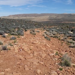 Facing the road