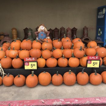 Albertsons Pharmacy - Welcome Fall! - Drugstores Near Me - Arlington, Texas Albertsons Pharmacy - Welcome Fall! - Drugstores Near Me - Arlington, Texas