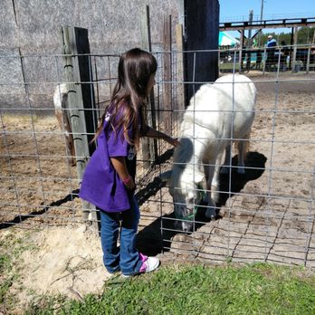 Poppell Farms - Girl scout day at the farm - Fruits & Veggies Near Me - Odum, Georgia
