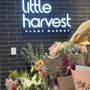 Little Harvest Market