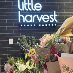 Little Harvest Market