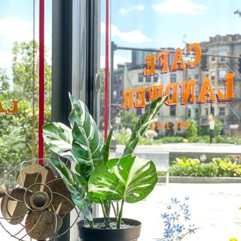Cafe Landwer - Inside - Breakfast & Brunch Near Me - Boston, Massachusetts