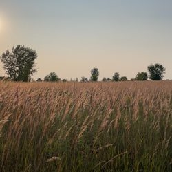 Lac Qui Parle State Park - Walking trail by campsite