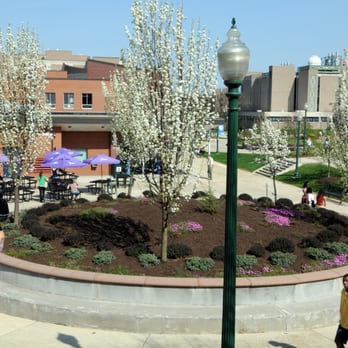 Central Connecticut State University - Colleges & Universities Near Me - New Britain, Connecticut Central Connecticut State University - Colleges & Universities Near Me - New Britain, Connecticut