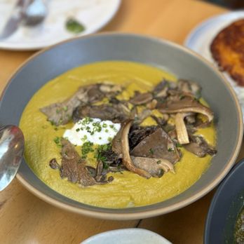 Delara - Saffron Mushroom Stew - Persian/Iranian Near Me - Vancouver, British Columbia Delara - Saffron Mushroom Stew - Persian/Iranian Near Me - Vancouver, British Columbia