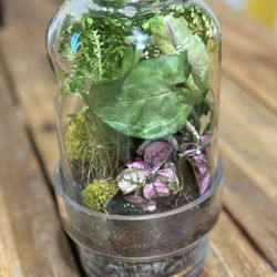 Terrarium Class at Mother Road Market