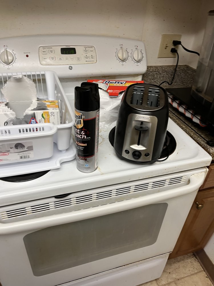 LAVENDER CLEANING SERVICE Updated September 2024 15 Photos