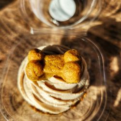 OMNI Brewery & Taproom - Puppy brew treat!