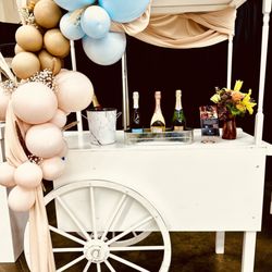 Our champagne bar cart