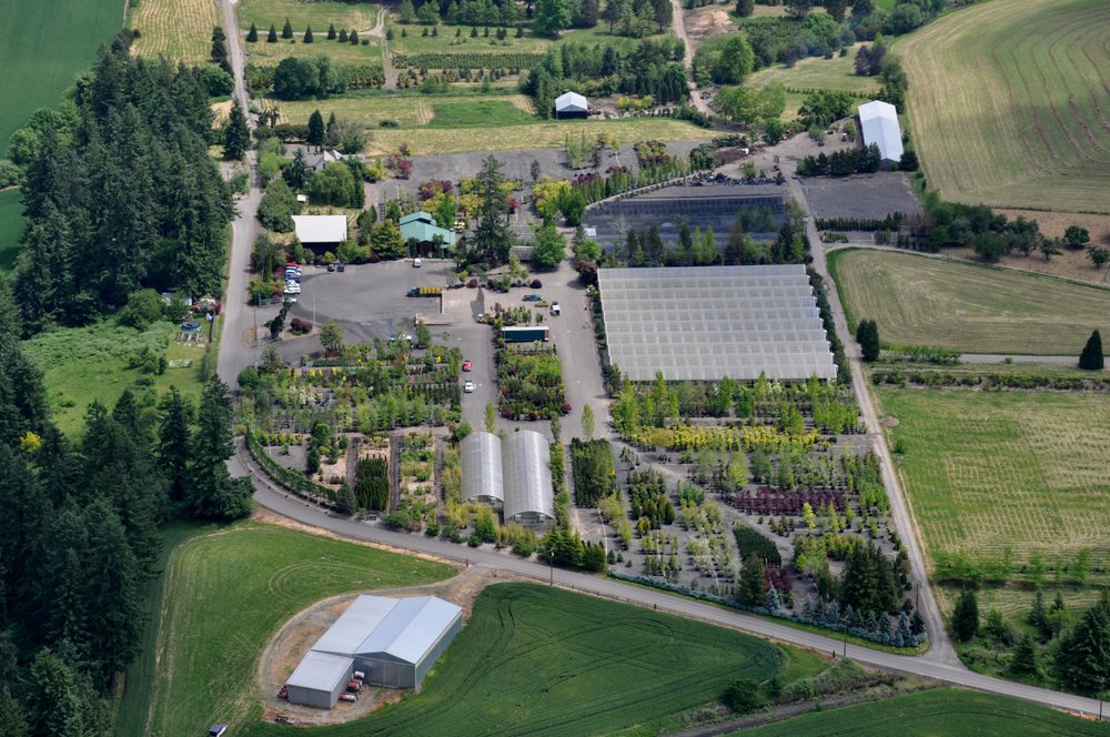 CASCADIAN NURSERIES Updated August 2024 8900 NW Dick Rd, Hillsboro