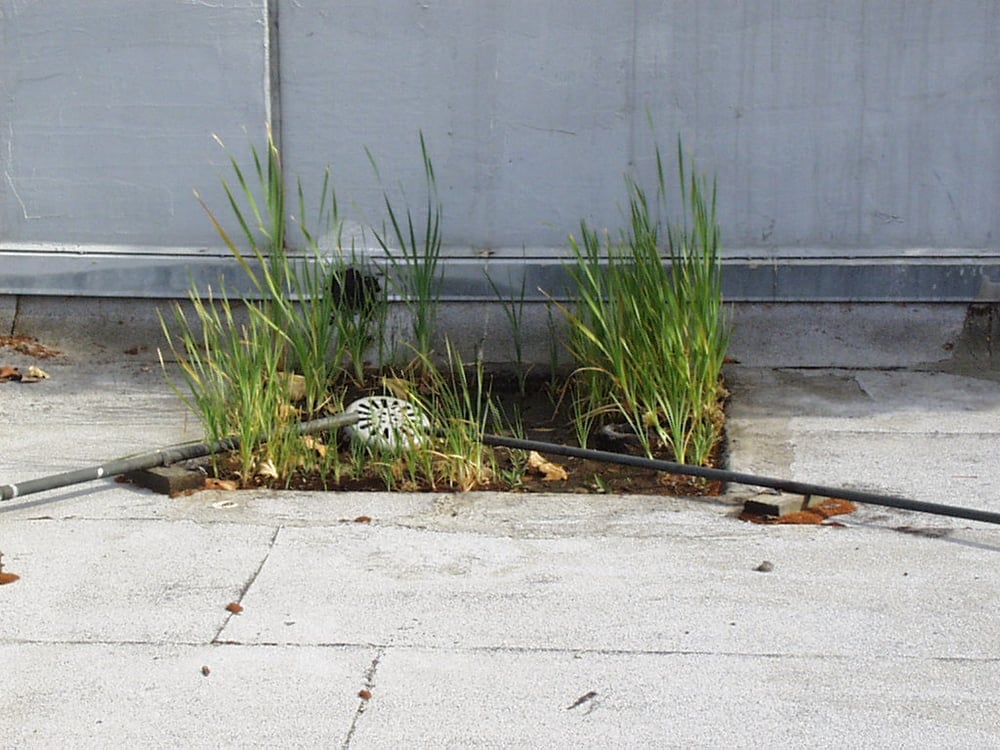 Slide of Rain Defense